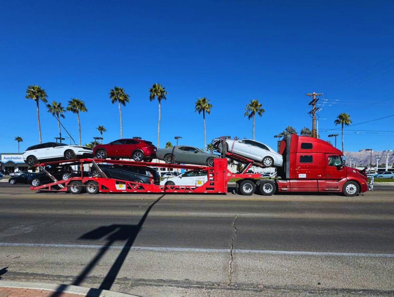 Red auto carrier beneath palm trees